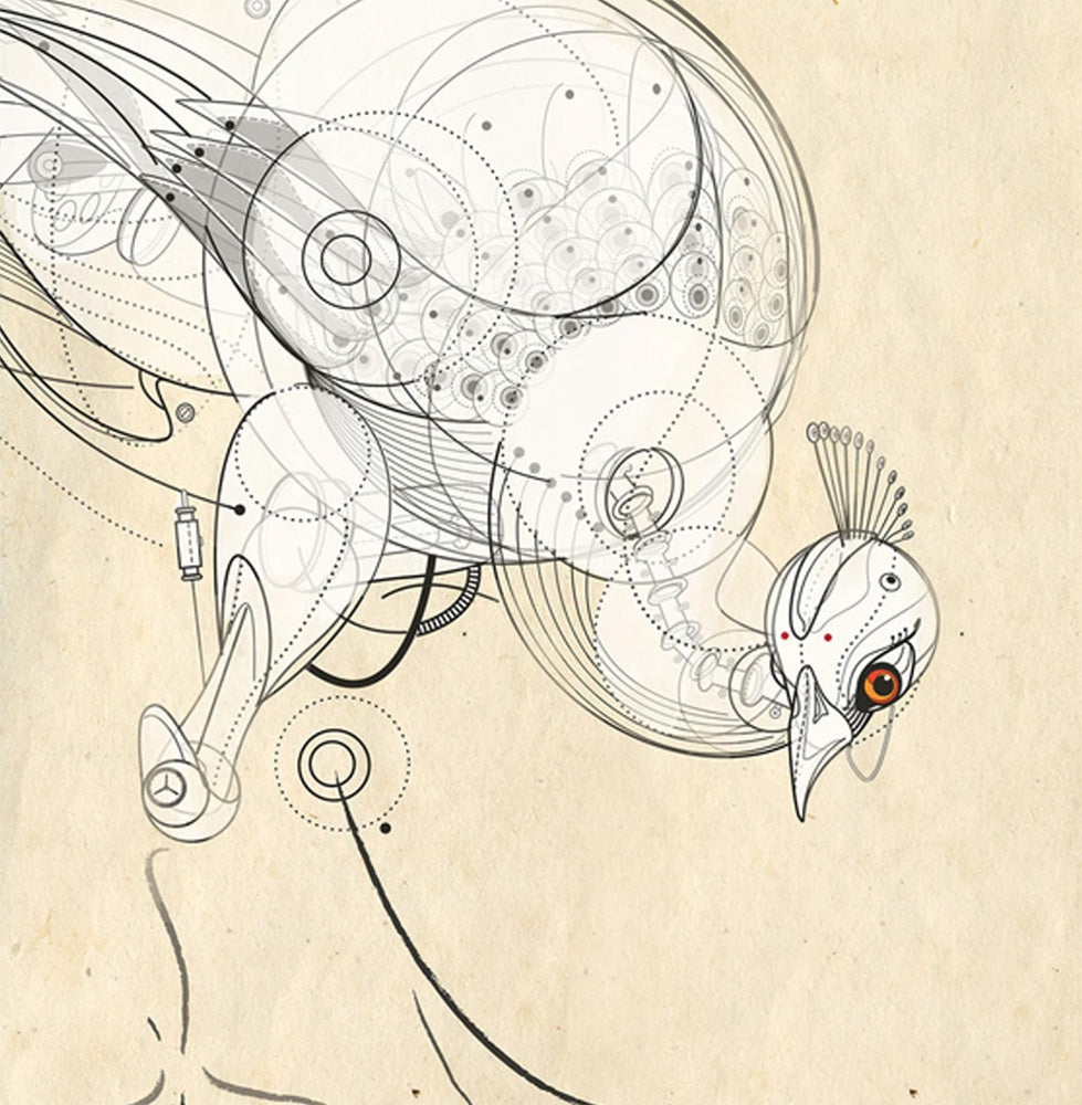 Peacock